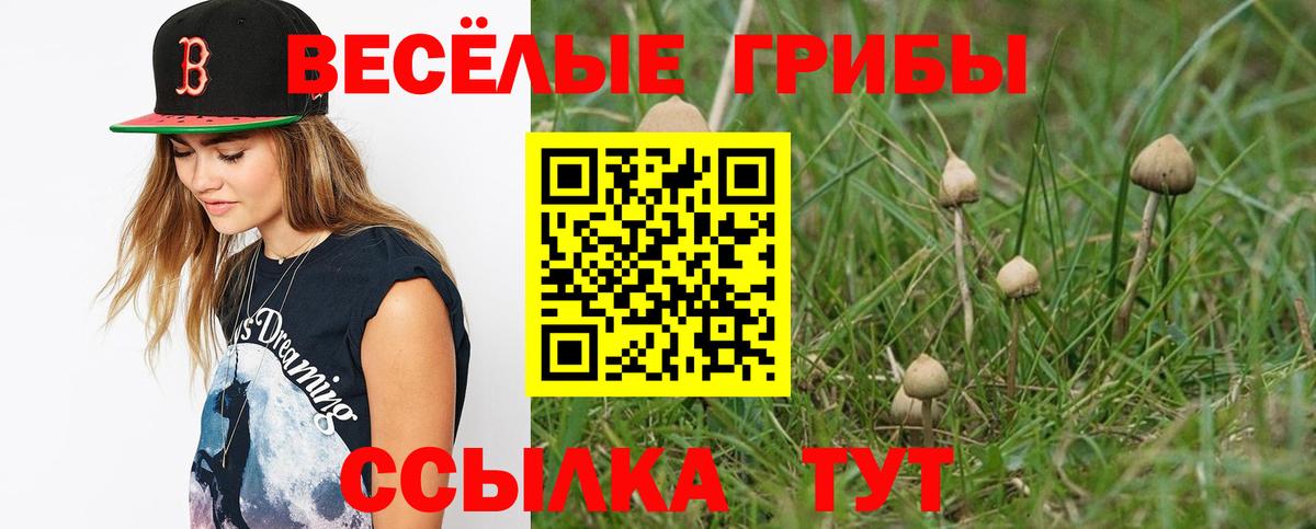 Дзержинск  Галлюциногенные грибы прущие грибы  Псилоцибиновые грибы мухоморы  Вход с VPN 